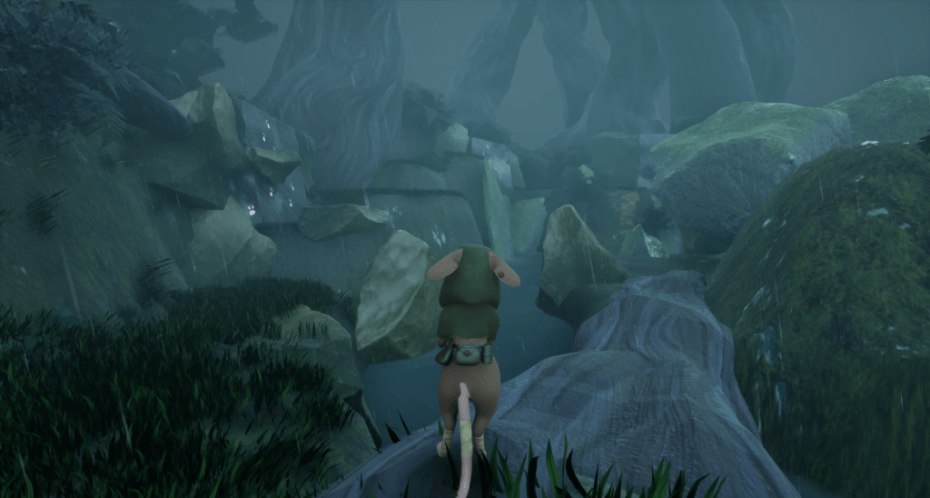 Eyes of the&nbsp;Forest